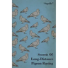 Secrets of Long-Distance Pigeon Racing