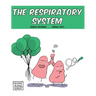 The Respiratory System