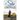 She Who the Son Sets Free