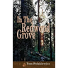 In The Redwood Grove