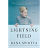 Lightning Field