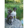 Choosing, Living With & Loving The German Shorthaired Pointer