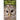 My Friend Hootie