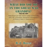 What Did You Do In The Great War Grandpa - Volume 2