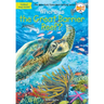 Where Is the Great Barrier Reef?