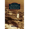 Wave-Swept Lighthouses of New England