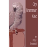 City Grammar Case