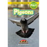 Pigeons: Animals in the City (Engaging Readers, Level Pre-1)