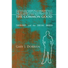 Reconstructing the Common Good