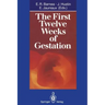 The First Twelve Weeks of Gestation