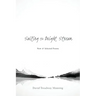 Sailing the Bright Stream: New & Selected Poems