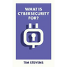 What Is Cybersecurity For?