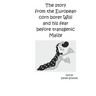 The story from the European corn borer Willi and his fear before transgenic Maize