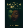 The Paradigm Prison, Escaping the lie that built your life