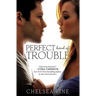 Perfect Kind of Trouble
