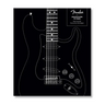 Fender Stratocaster 70 Years