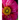 Botanicals: A Photo Essay
