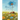 Afternoon on a Hill