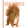 Squirrels
