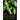 The Oxford Handbook of Philosophy of Biology
