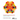 Cortical Visual Impairment Advanced Principles