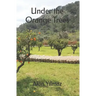 Under the Orange Trees