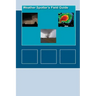 Weather Spotters Field Guide