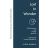 Lost in Wonder: Glimpsing Awe, God and the Good Life (Rediscovering Faith Life And Everything)