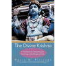 The Divine Krishna: A Workbook for Interpreting the Teachings in the Bhagavad Gita