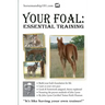 Your Foal: Essential Training