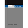 Notes, Critical and Practical, on the Book of Joshua