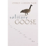 Solitary Goose