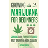 Growing Marijuana for Beginners: Cannabis Growguide - From Seed to Weed