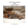 The Two Little Birds From Caroline Lane