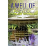 A Well of Bethlehem: A Meditation on Healing the Wounds of the Daughters