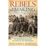 Rebels in the Making: The Secession Crisis and the Birth of the Confederacy