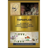 Tepoztlán 10 Years of Investigation Old Civilizations, UFOs and Shamans