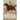 The Virginian: A Horseman of the Plains