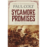 Sycamore Promises: A Novel of the Great Civil War