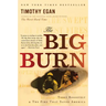 The Big Burn: Teddy Roosevelt and the Fire That Saved America
