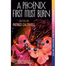 A Phoenix First Must Burn: Sixteen Stories of Black Girl Magic, Resistance, and Hope