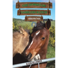 The Horses of Saddlers Ranch: Brownie