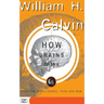 How Brains Think: Evolving Intelligence, Then and Now