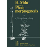 Lectures on Photomorphogenesis