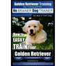 Golden Retriever Training Dog Training with the No BRAINER Dog TRAINER We Make it THAT Easy!: How to EASILY Train Your Golden Retriever