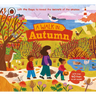 A Walk in Autumn: Lift the Flaps to Reveal the Secrets of the Season