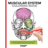 Muscular System Coloring Book: Now you can learn and master the muscular system with ease while having fun