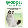 Ragdoll Cats as Pets: Ragdoll Cat Information, Where to Buy, Care, Behavior, Cost, Health, Training, Grooming, Diet and a whole lot more! A