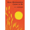 How Mennonites Came to Be: 1832