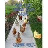 Easy Clean Chicken House Design: Vermiculture Chicken House Design with Sliding Floor